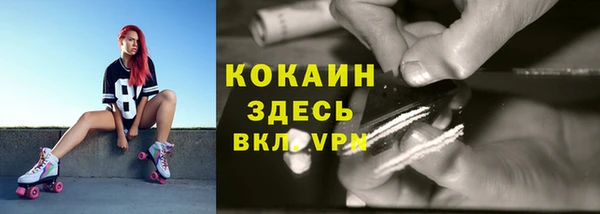 твердый Нефтегорск